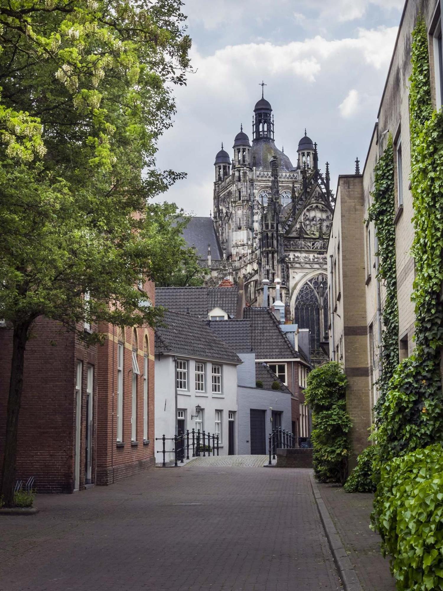 Hotel De Ruwenberg Den Bosch - Sint Michielsgestel Экстерьер фото